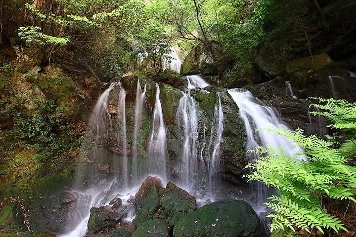 Chigo Otoshi Fall