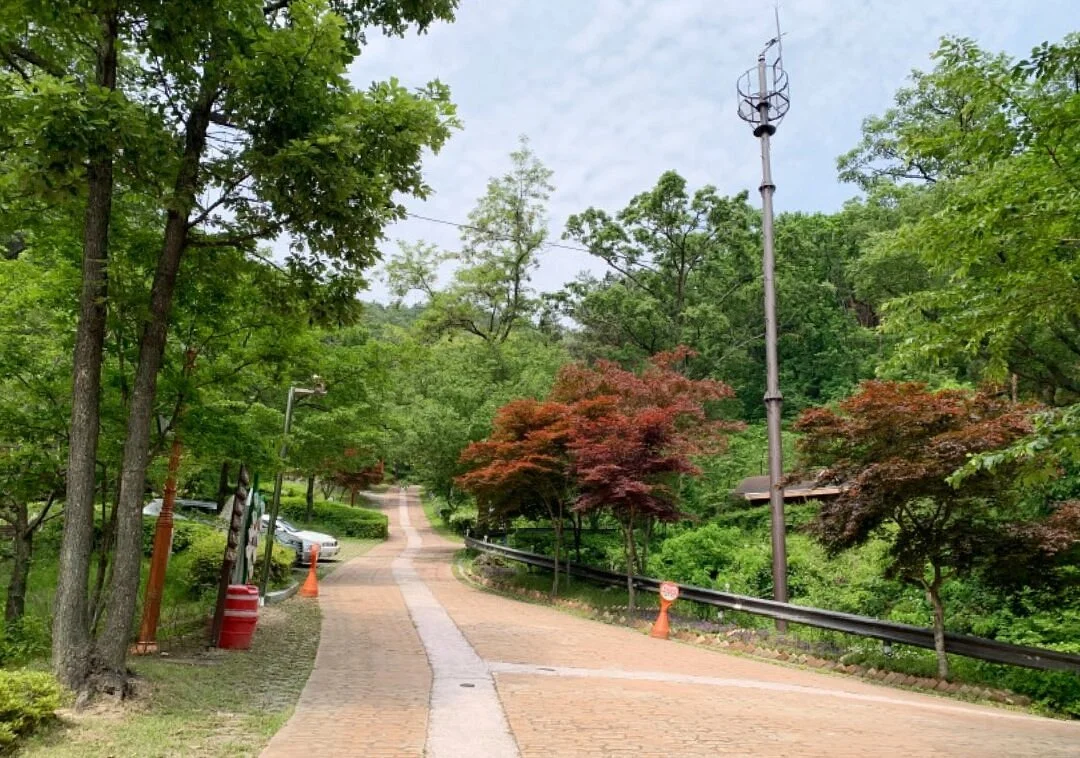 Songjeong Recreational Forest