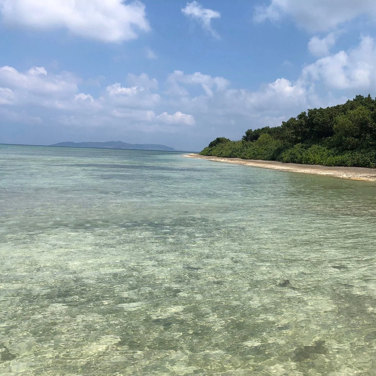 Beach Nunushu