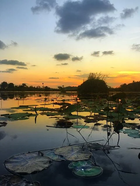 Rayong Botanical Garden