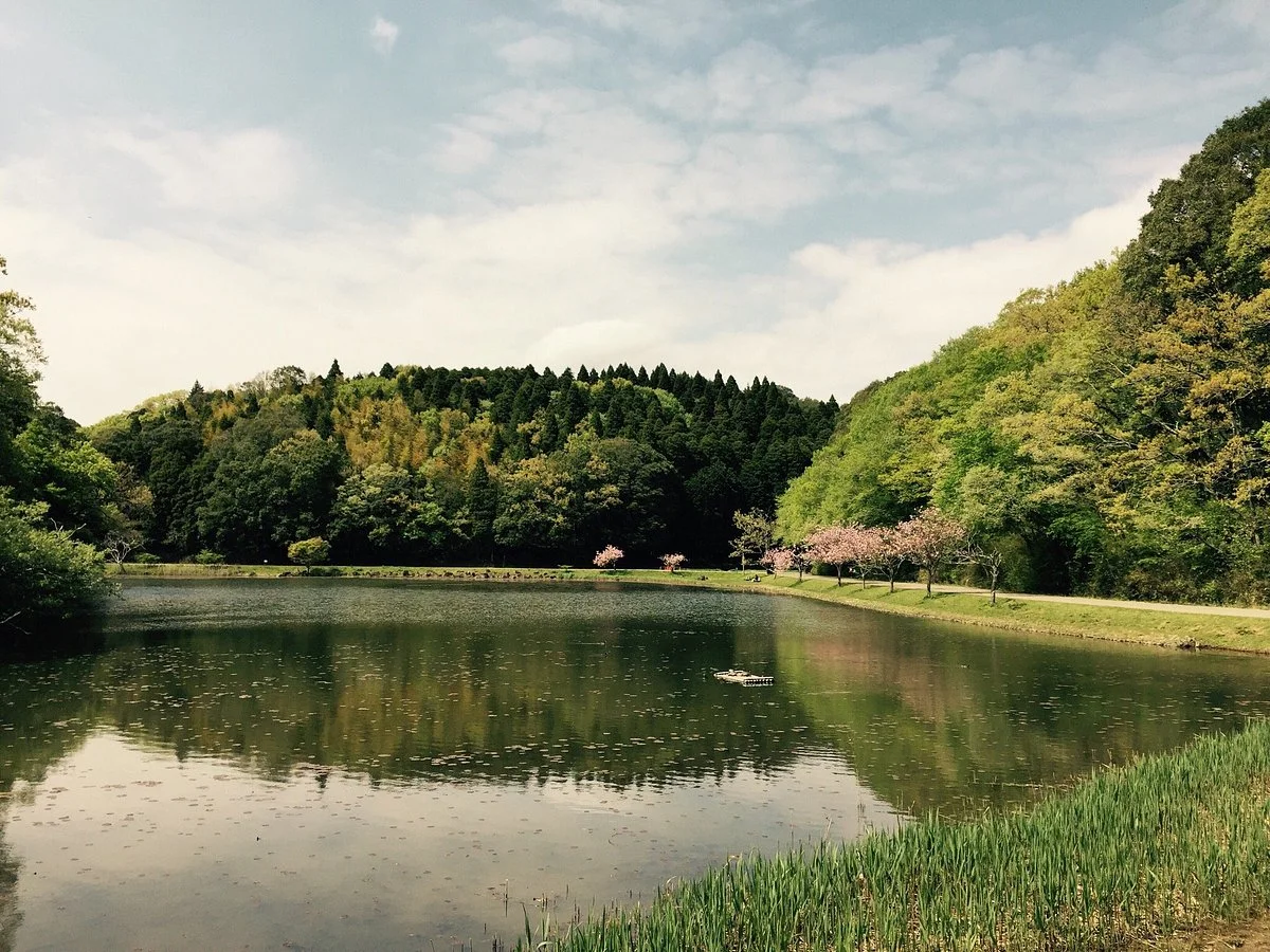 Showa no Mori Park