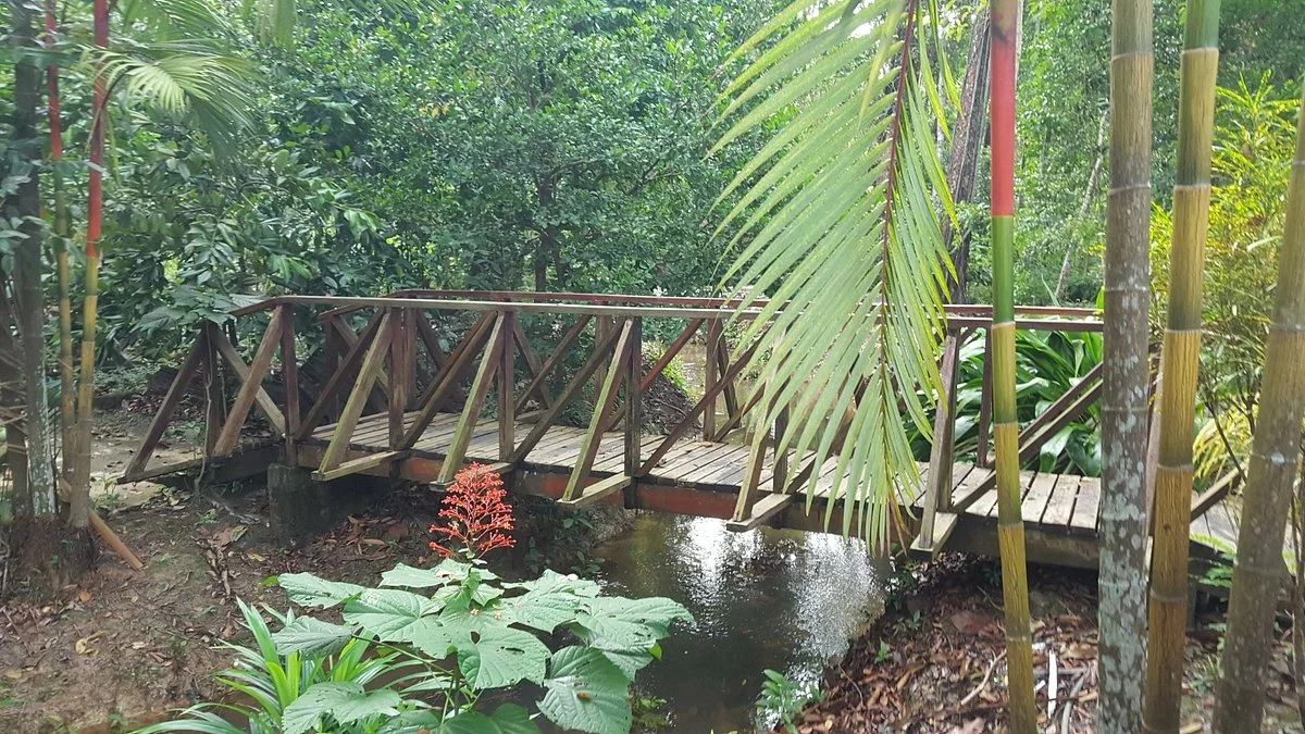 Sungai Udang Recreational Forest