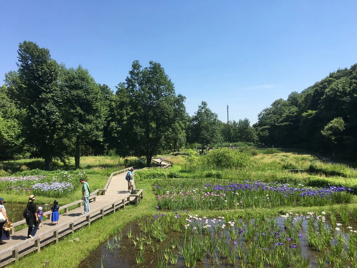 Jindai Aquatic Botanical Garden