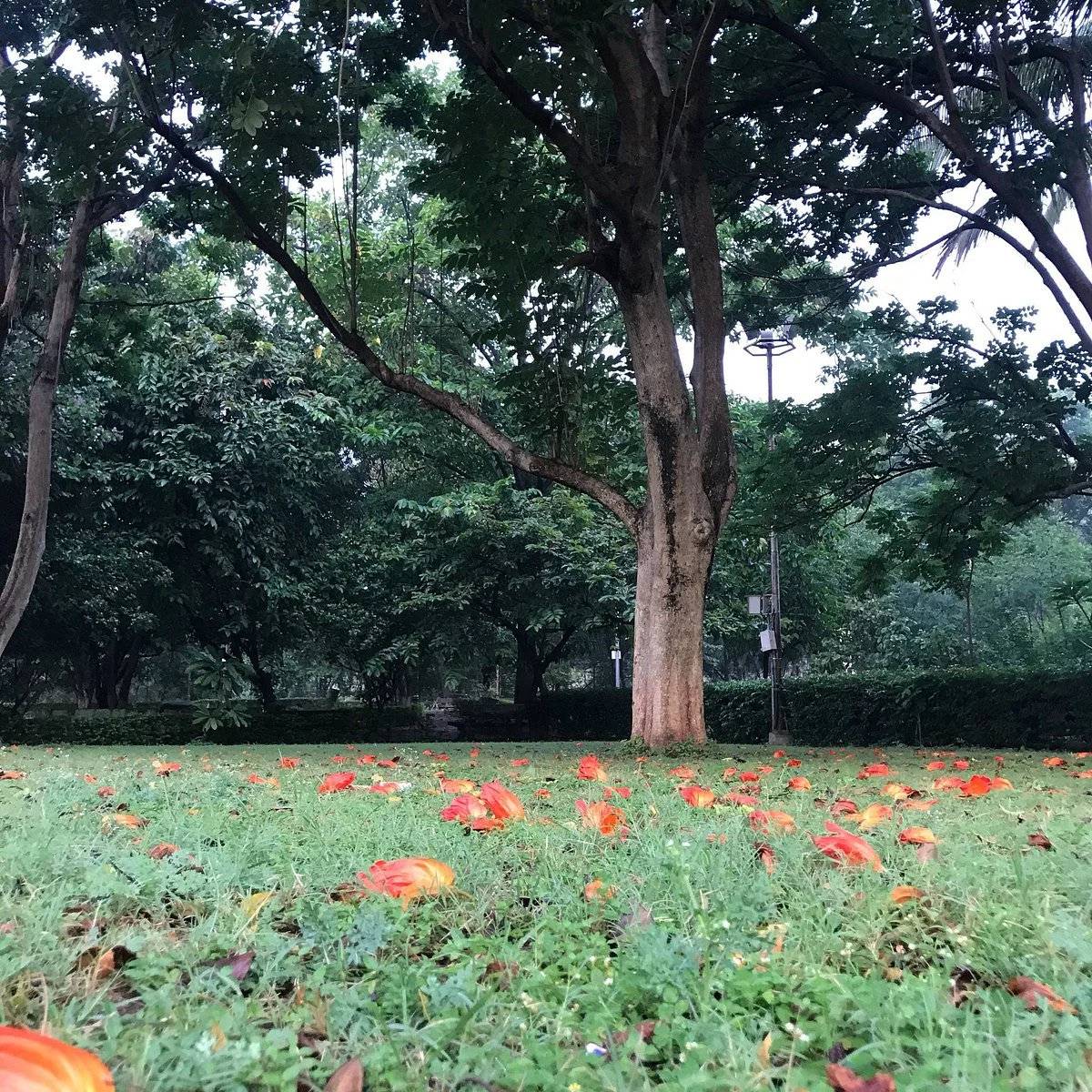 Joggers Park
