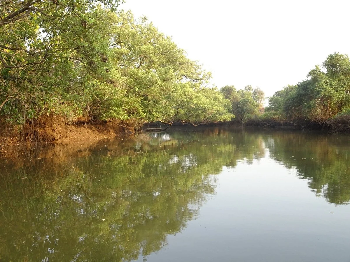 Dr. Salim Ali Bird Sanctuary