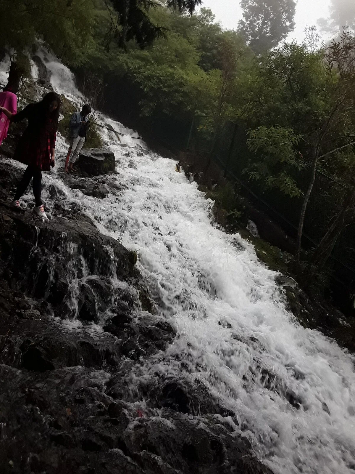 Woodland Water Fall