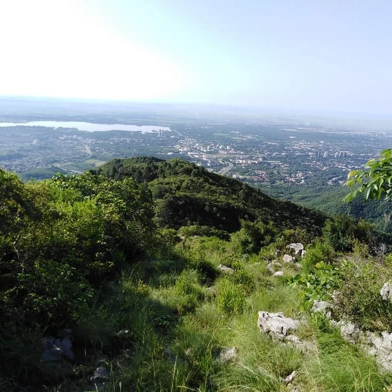 Trail 5
