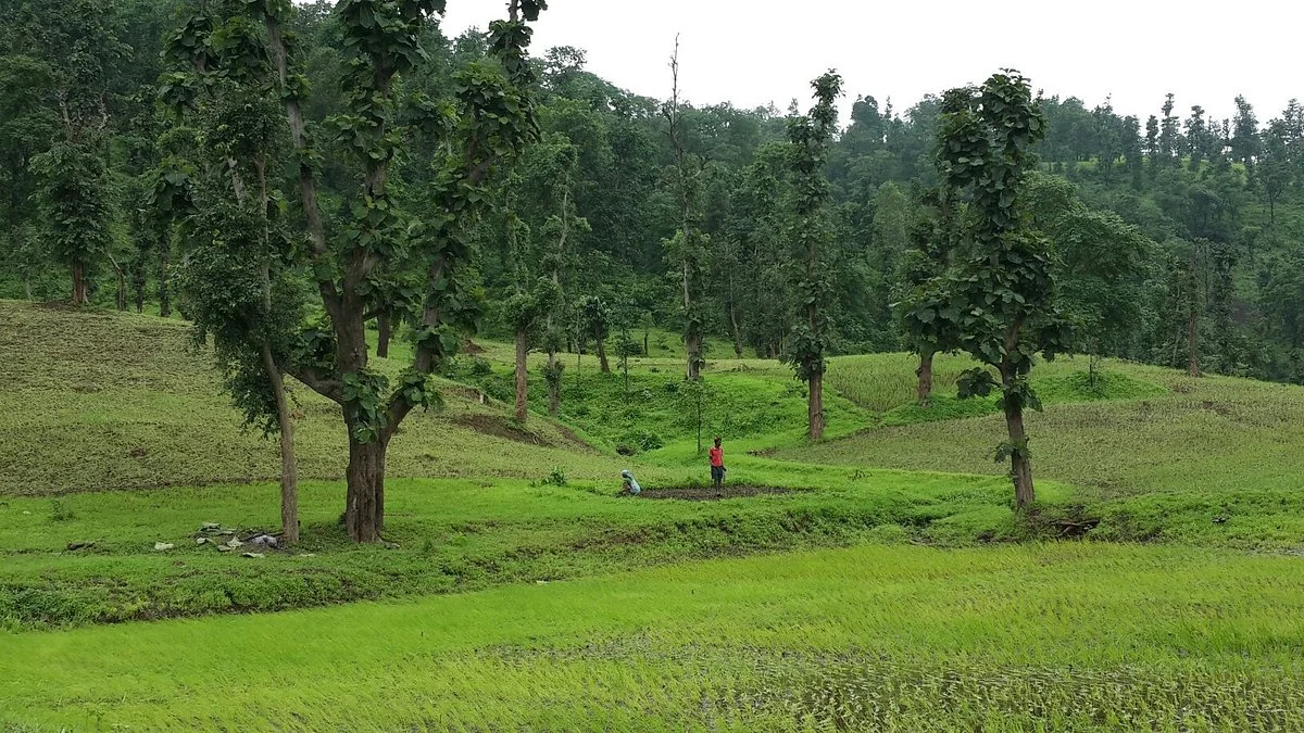 Pandava Gufa