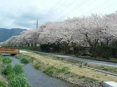 Anegawa Old Battlefield