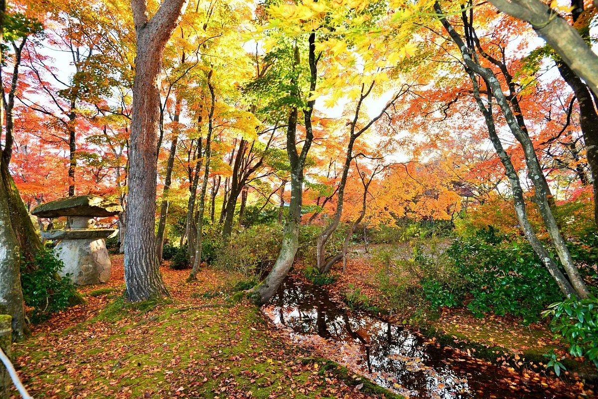 Momiji Garden