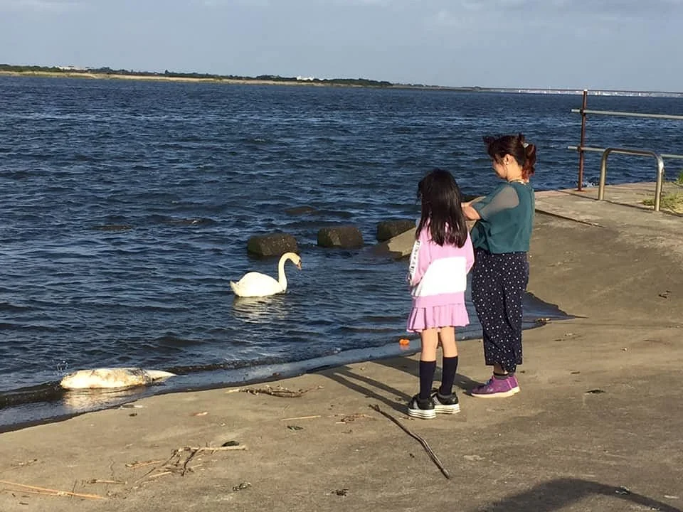 Sakuraicho Park