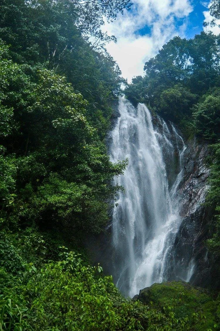 Mohini falls