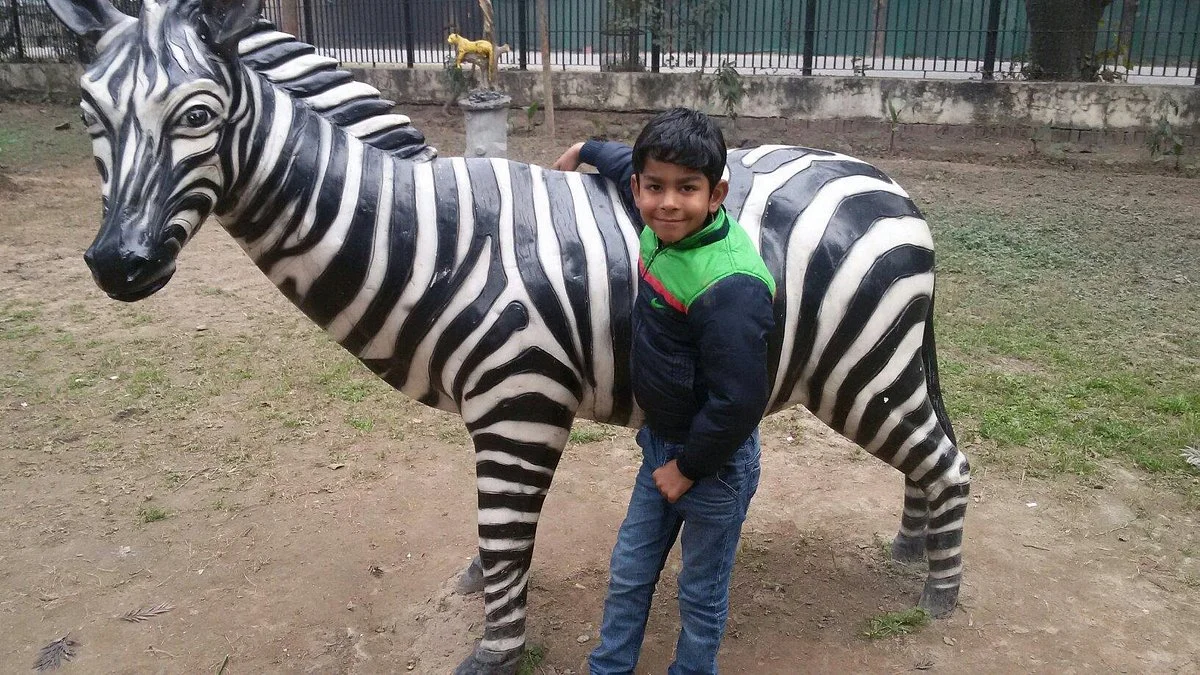 Patel Park