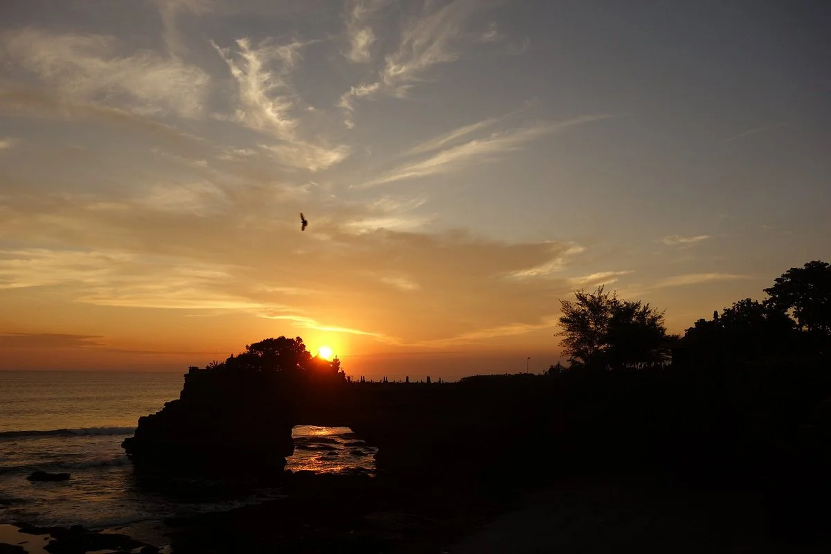 Online Bali Driver - Day Tours