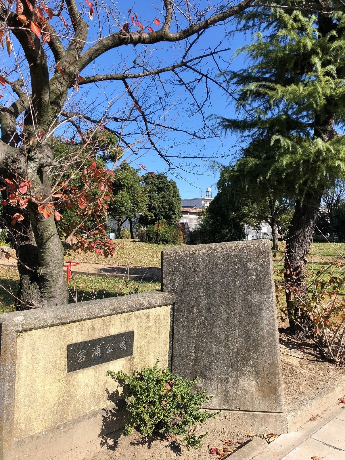 Miyaura Park