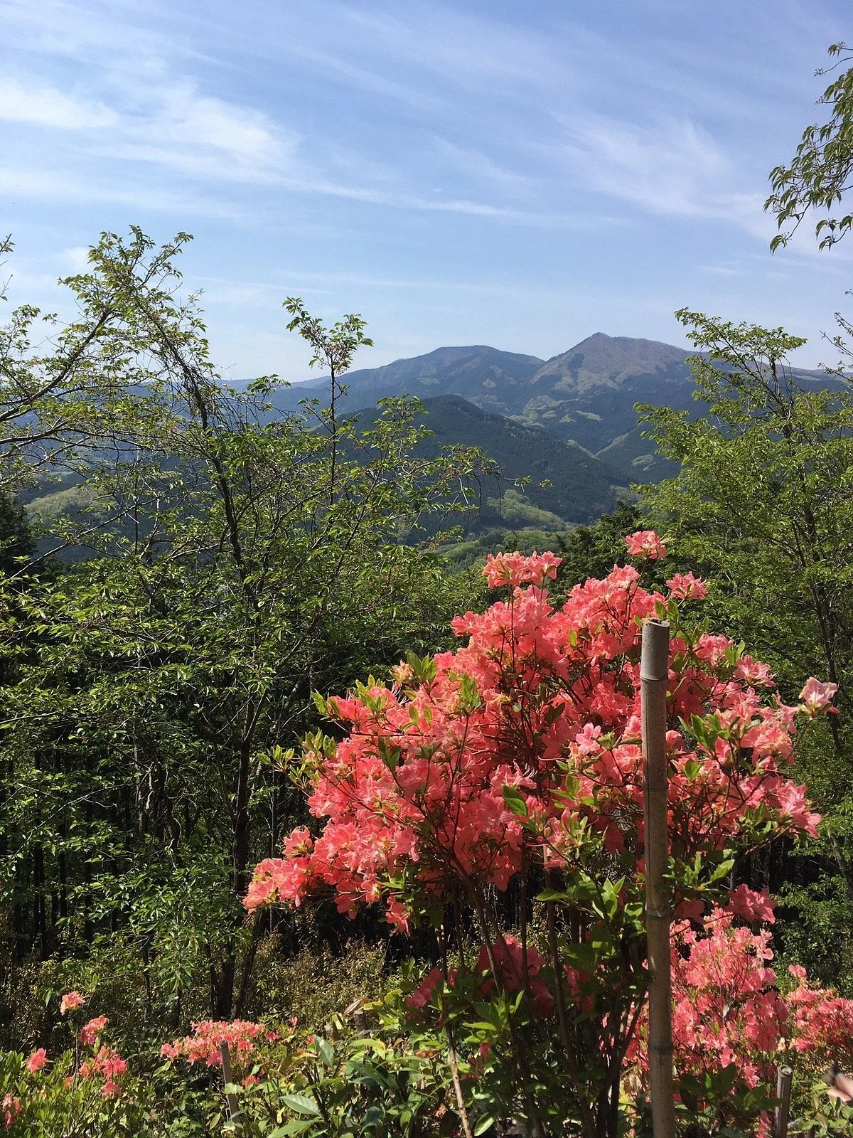 Mt. Kannokura
