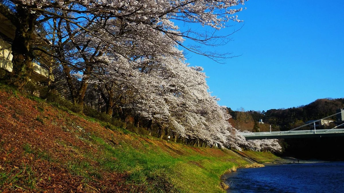 Kamanofuchi Park