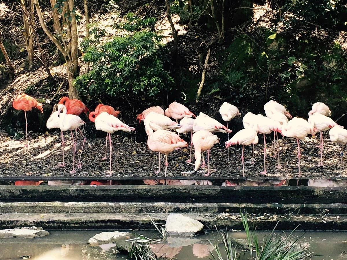 Nagasaki Bio Park