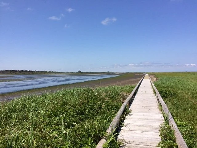 Shunkunitai Wild Bird Sanctuary