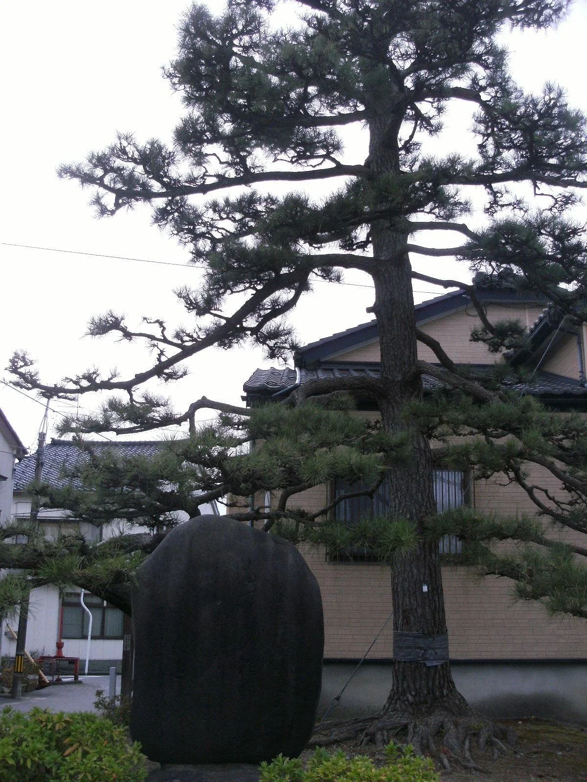 Uozu Castle Remains