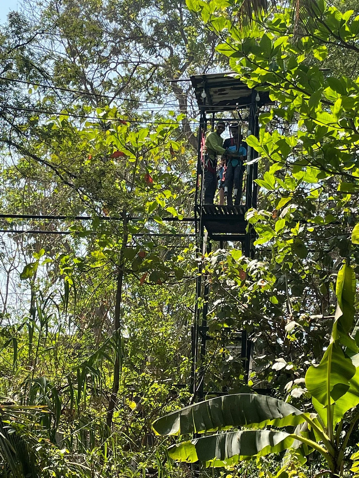 Bhavan's Nature and Adventure Centre