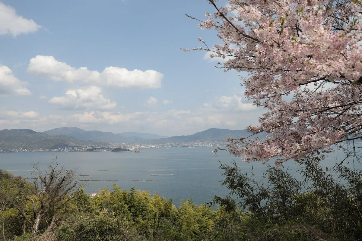 Shibire Toge