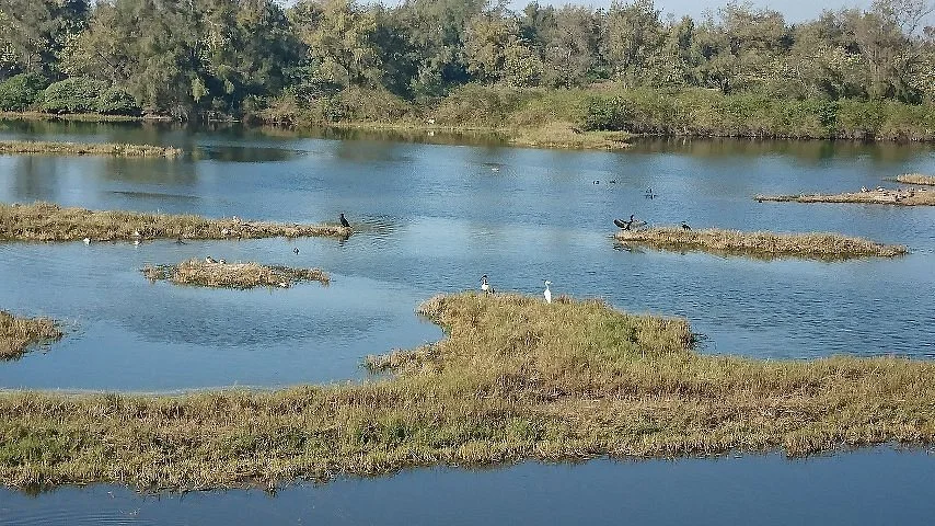 Aogu Wetlands and Forest Park