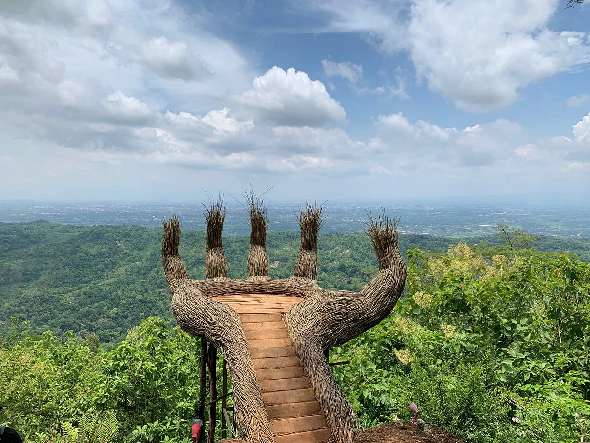 Pinus Pengger Nature Tourism