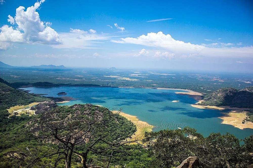 Loam’s View Point