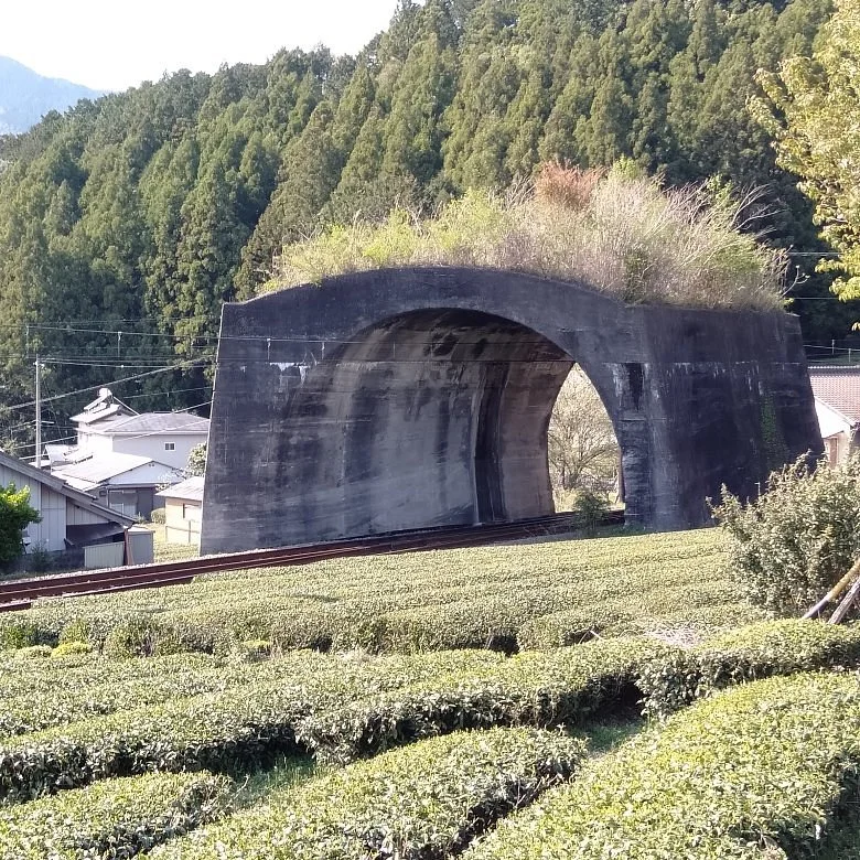 Nihonichi Mijikai Tunnel