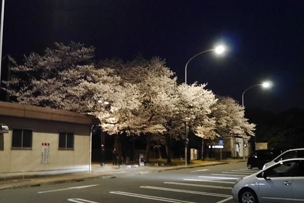 Kashiba Service Area Inbound