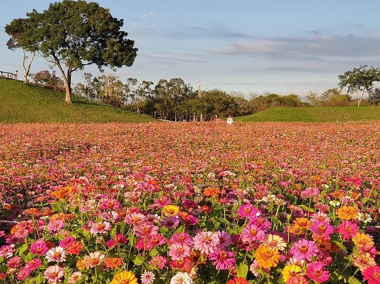 Houli Huatian Pinbu Park