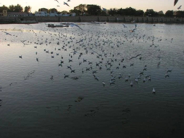 Topansar Lake