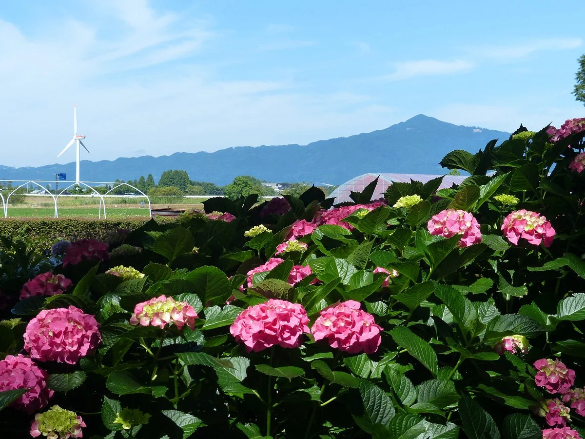 Moriyama Ashikarien Garden