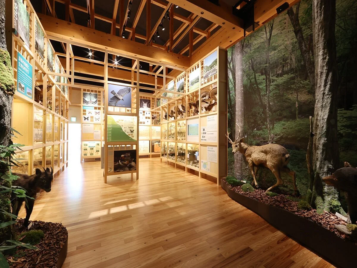 Oku Mikawa Local Museum