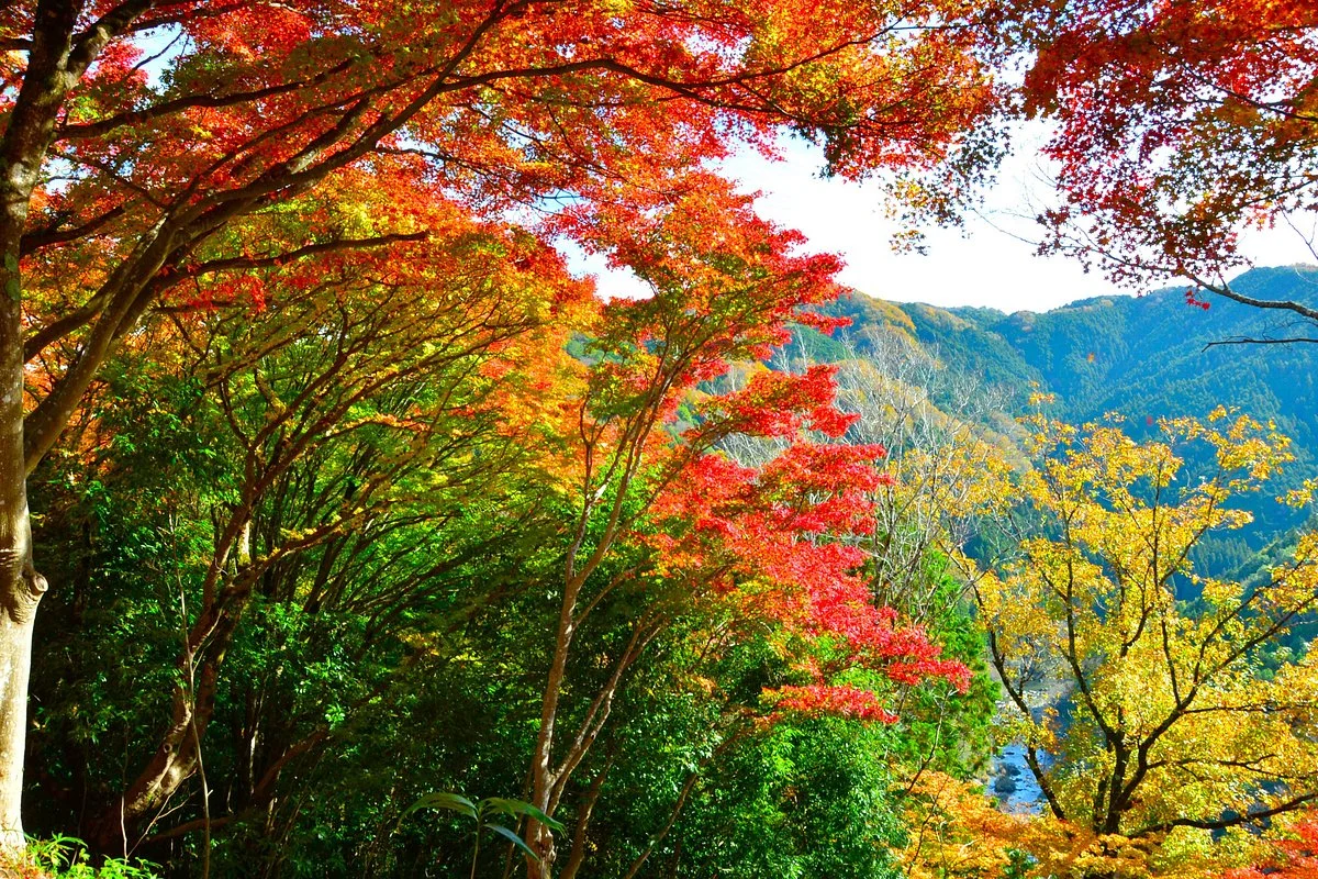 Mt. Iimori