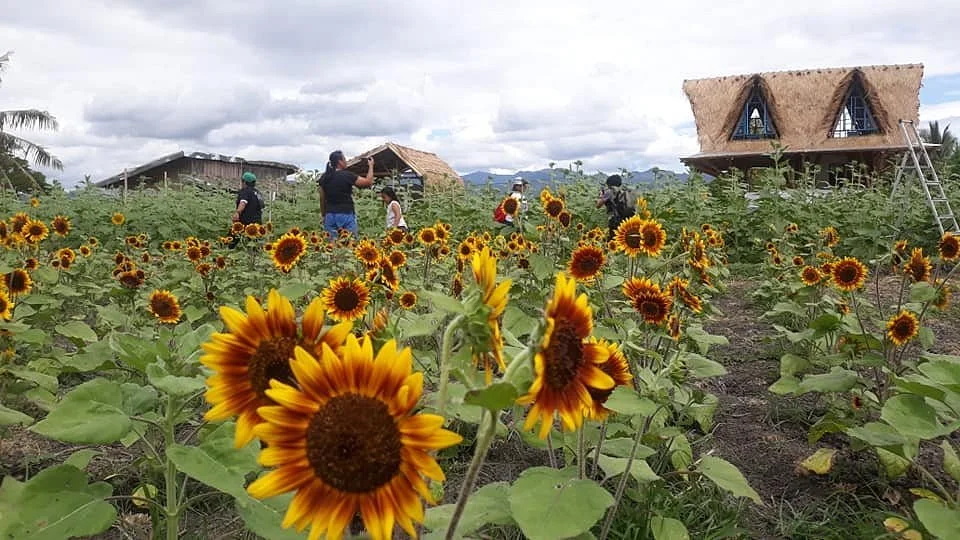 Reef's Farm