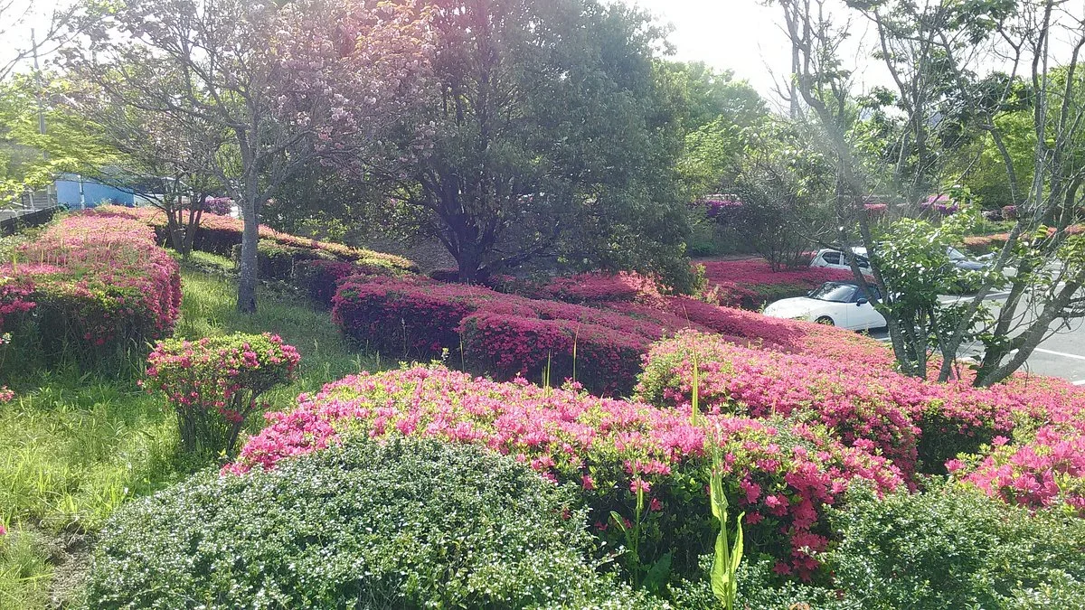Yakeyama Park