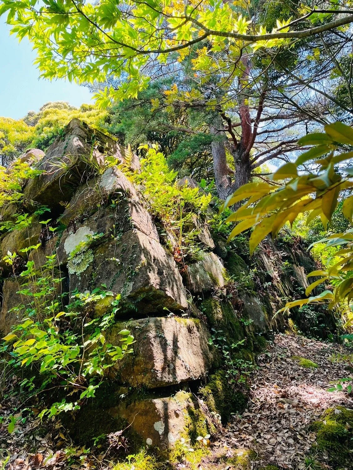 Shishigajo Castle Site