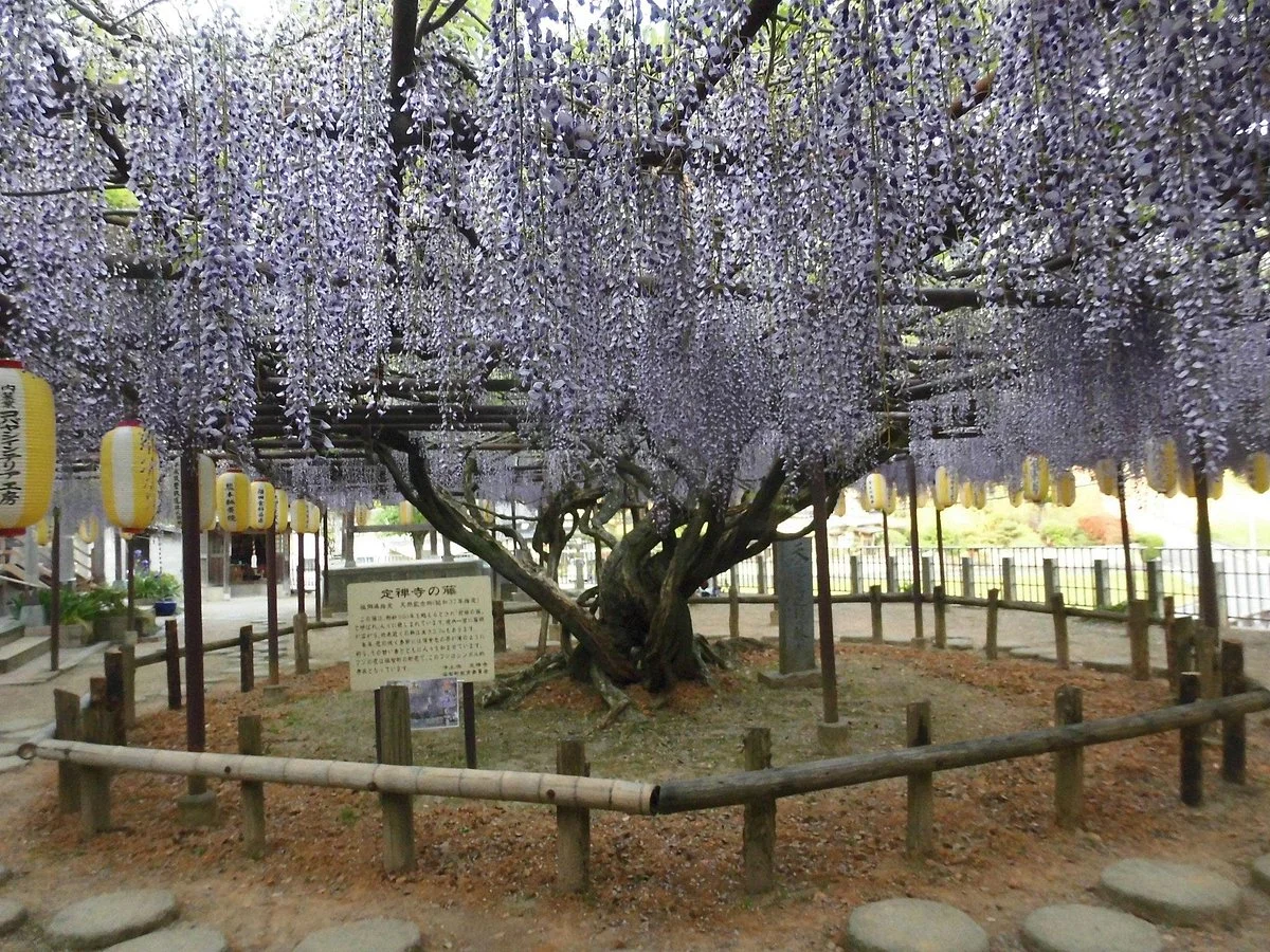 Josenjino Fuji Temple