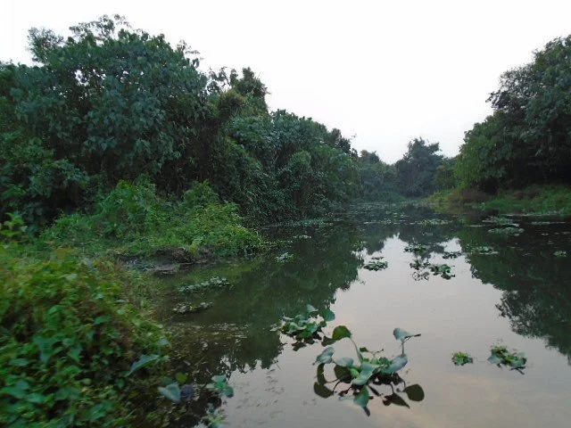 Sikia Jhora