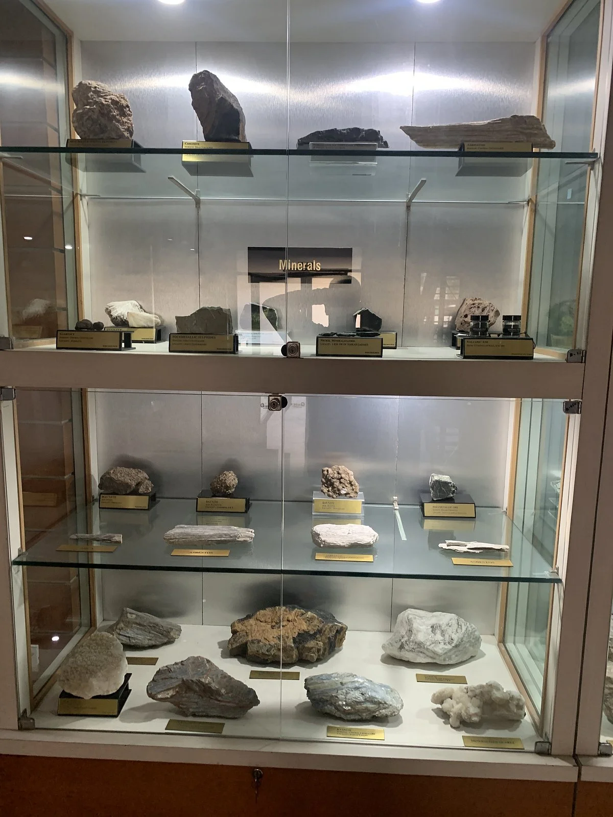 Wadia Institute of Himalayan Geology