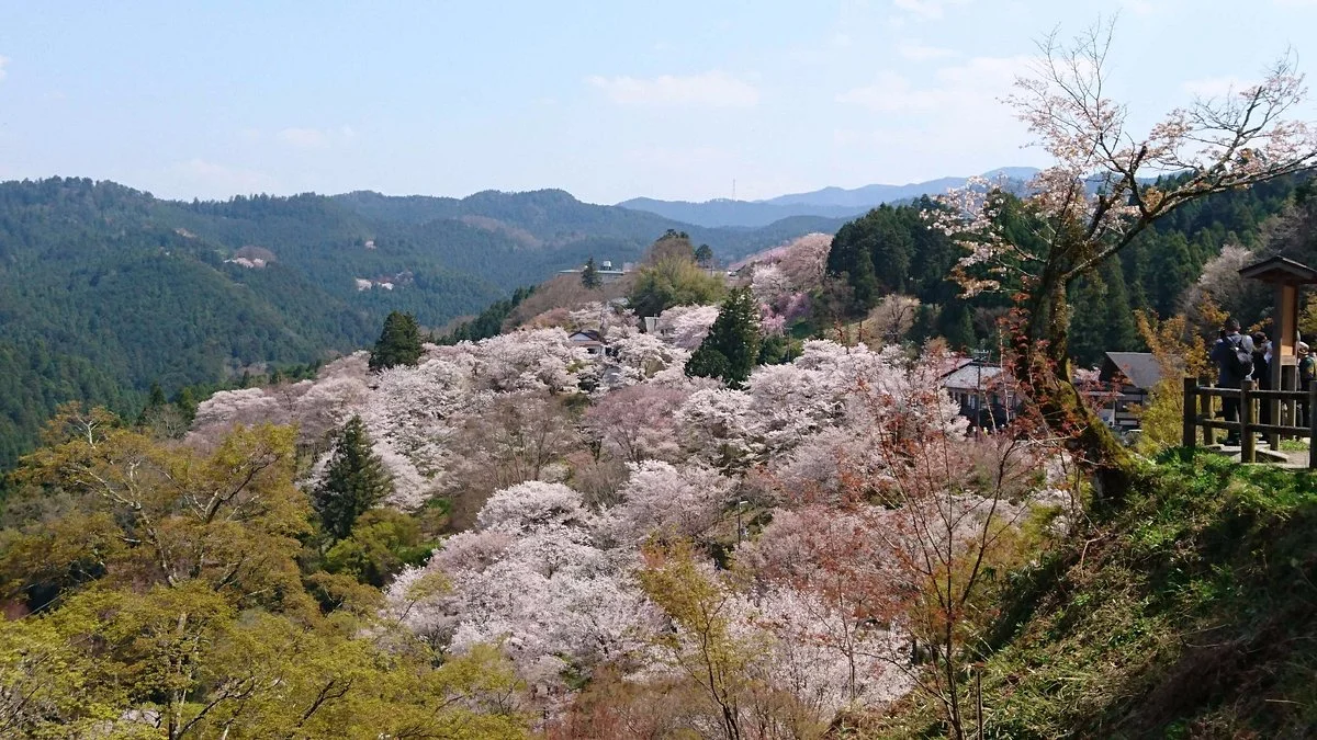 Mt. Yoshino