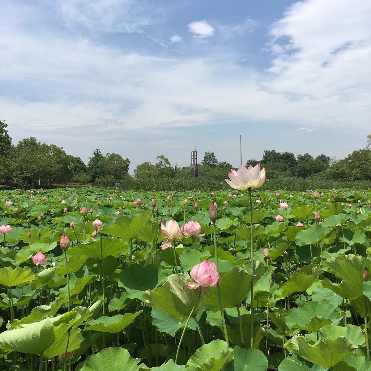 Heiseinomori Park
