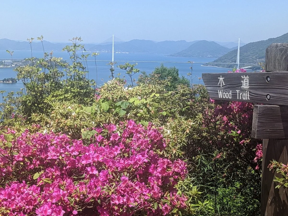 Mt. Hiraki Viewing Platform