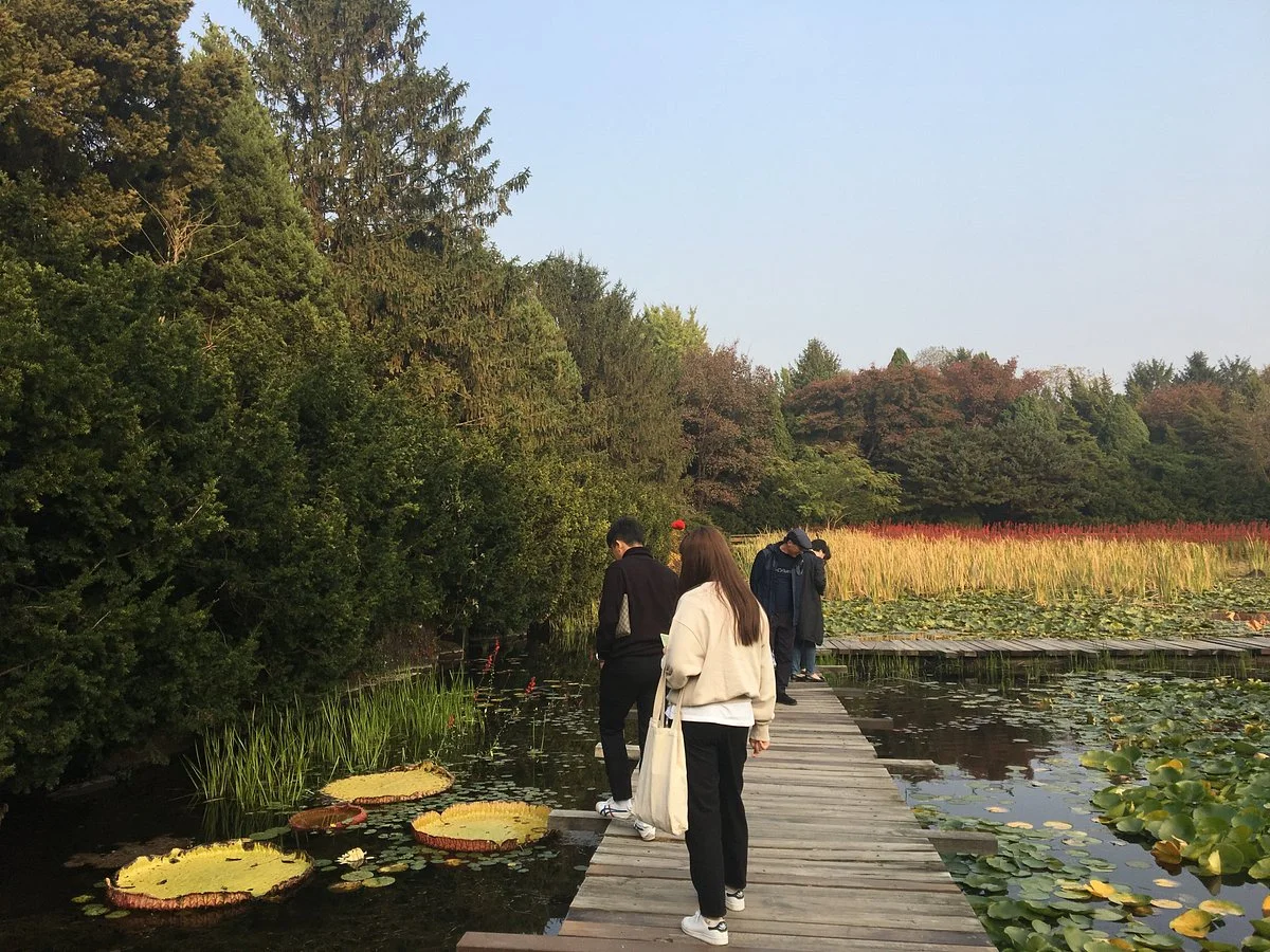 The Botanical Garden of BCJ