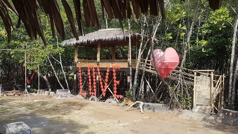 Hutan Payau