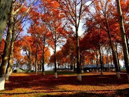 Nasim Bagh