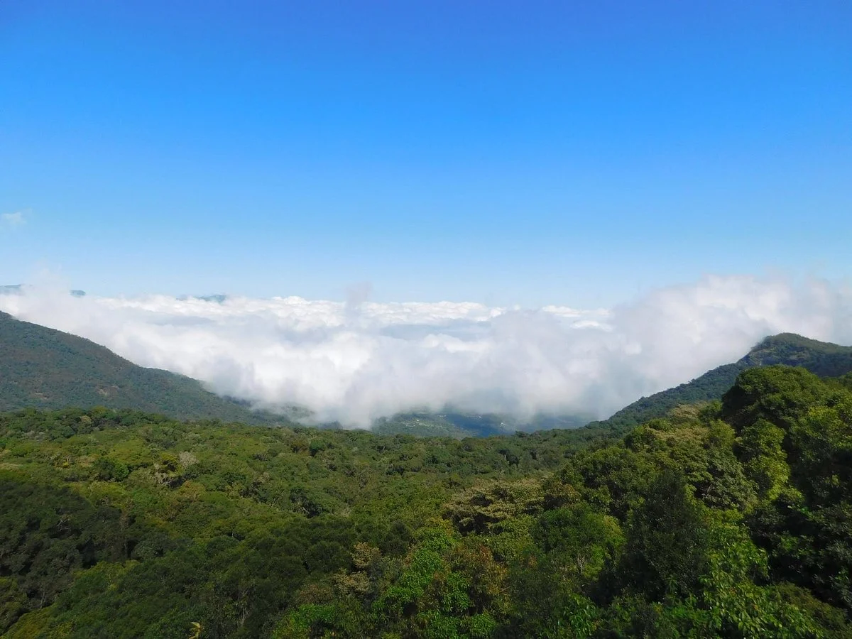 Anamudi Shola National Park