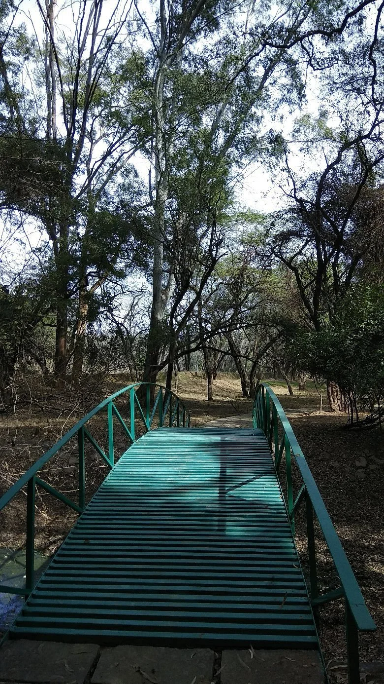 Smriti Upavan
